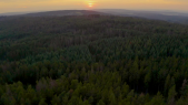 thumbnail of medium Wildnisfonds Erklärvideo 2022