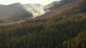thumbnail of medium KI-Leuchtturmprojekt KIWA - KI-basierte Waldüberwachung